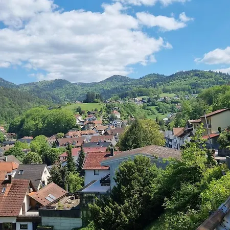 Hébergement de vacances Mit 3 Fewos